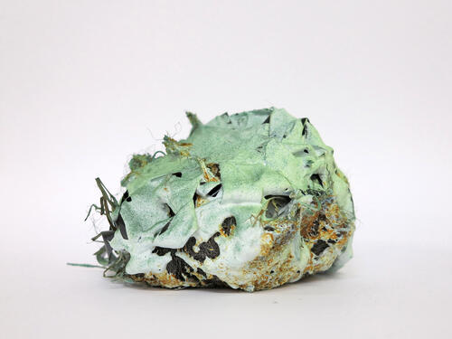 Untitled Untitled